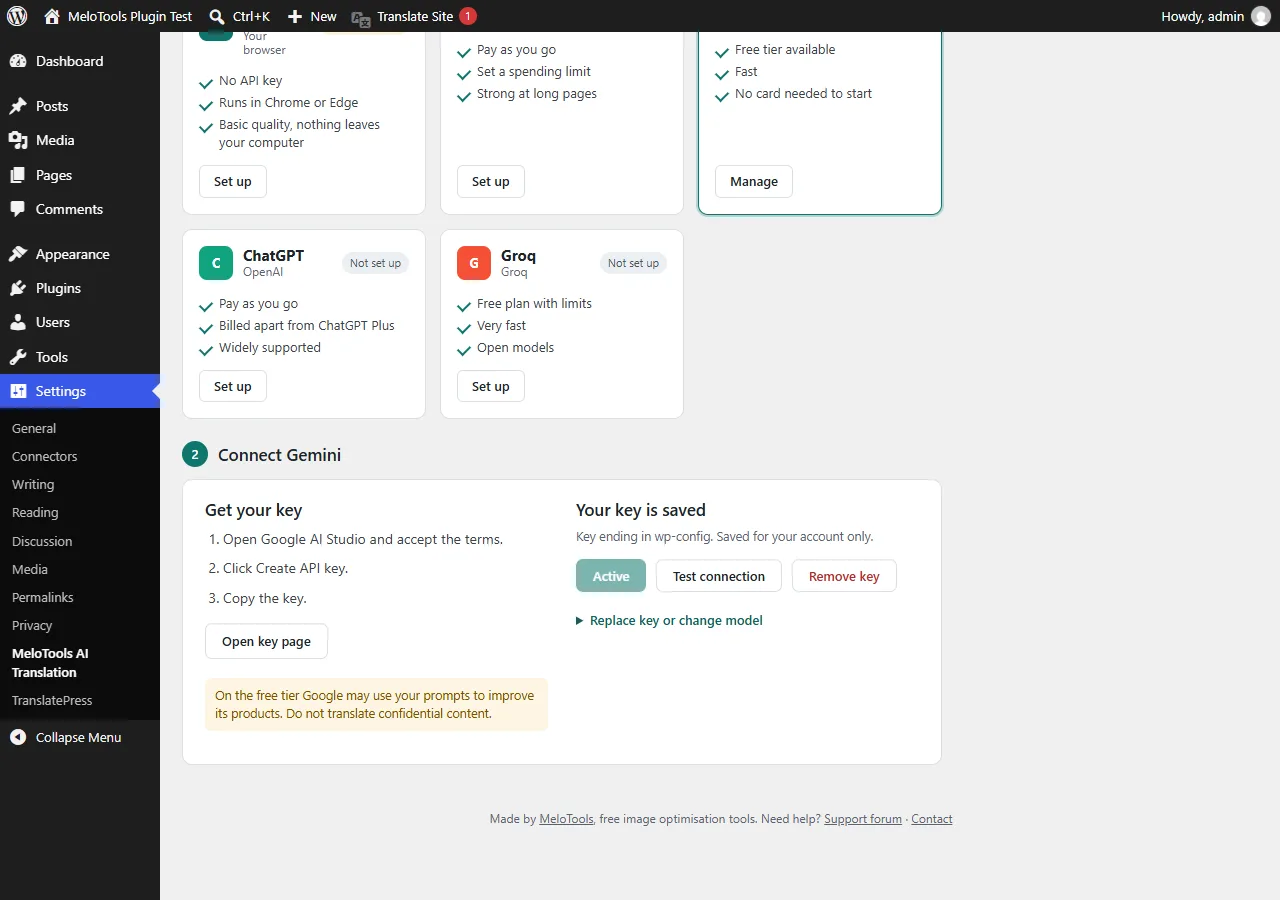 Gemini setup panel with steps to get an API key and a field to paste it